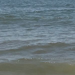 Meet your Posher, Kathryn